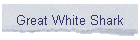 Great White Shark