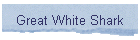Great White Shark
