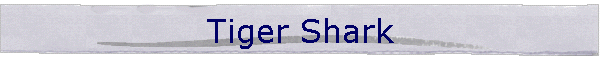 Tiger Shark