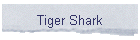 Tiger Shark