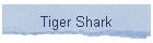 Tiger Shark
