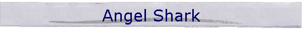 Angel Shark