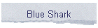 Blue Shark