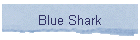 Blue Shark