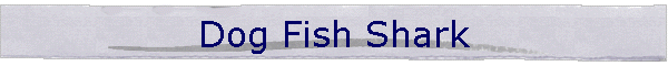 Dog Fish Shark
