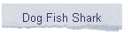 Dog Fish Shark