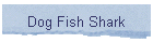 Dog Fish Shark