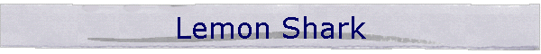 Lemon Shark