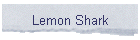 Lemon Shark