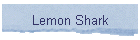 Lemon Shark